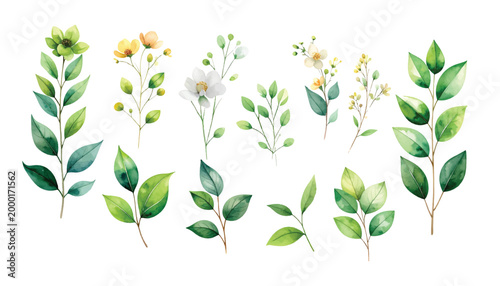 Set of popular botanical leaf with purple flower. 