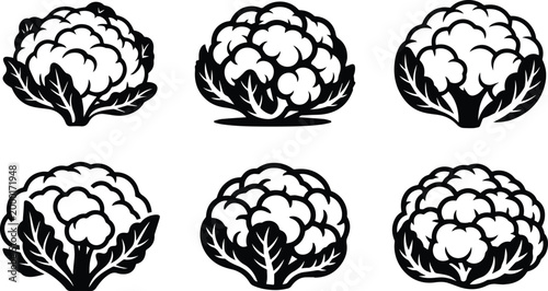 Set of Minimalist black fresh white cauliflower head vegetable silhouette vector icon