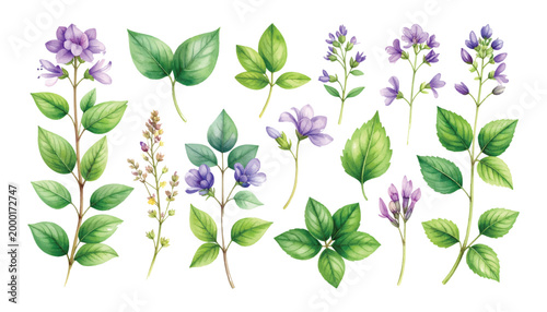 A simple illustration of violet flowers with leaves in a natural floral design pattern