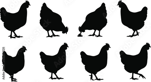 Black silhouette collection of chickens a farmyard scene depicting various chicken poses and activities