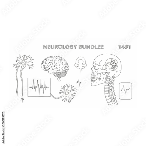 Medical neurology infographic bundle set of human brain and skull anatomy
