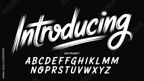 Canvas-taulu Introducing a unique brush script typeface with a full character set