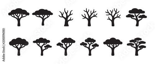 A collection of twelve black silhouette icons representing various tree types and seasons against a white background, useful for design projects.
