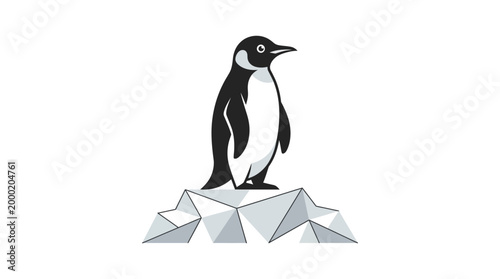 Penguin standing on ice rocks.