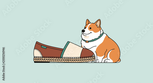 Adorable Corgi Dog with Stylish Espadrille Shoe Illustration.