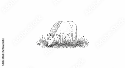 Sketch of a horse grazing in a grassy field with a white background
