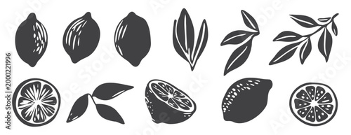 Collection of hand-drawn black ink lemons, citrus slices, and leaves in a minimalist Mediterranean linocut style for organic food branding