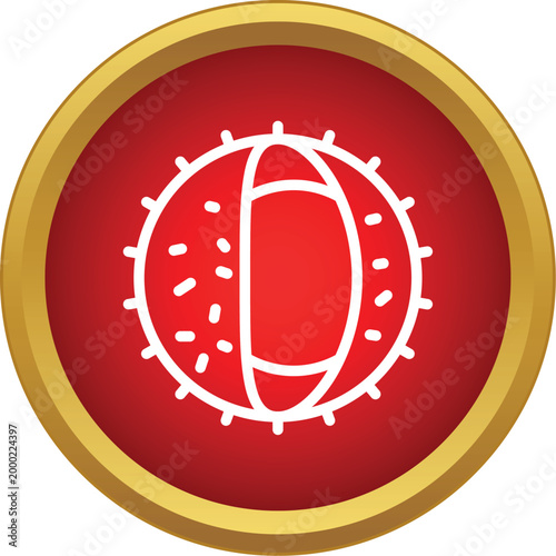 Rambutan fruit icon with an outline style in a luxury golden frame circle