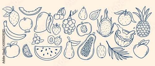 Summer berries and fruits in doodle sketch. Hand-drawn outlines of organically grown food products. Large collection of healthy food in Mediterranean style. Vector graphics