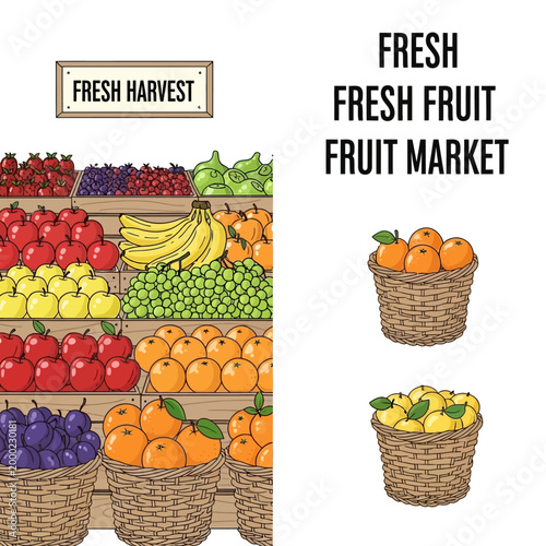 Assortment of Fresh Fruits at a Market Stall - Apples, Bananas, Grapes, Oranges, Plums
