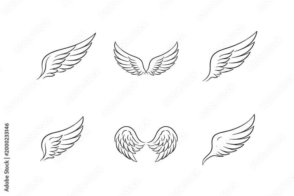 Fototapeta premium Collection of six different hand-drawn wing illustrations in black and white