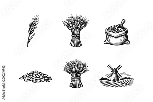 Vintage illustration of wheat harvest elements and rural landscape