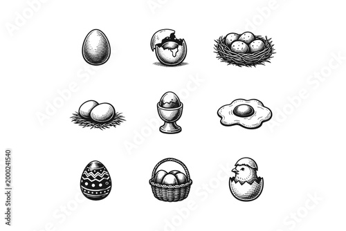 Collection of vintage-style illustrations depicting various stages of eggs and chicks