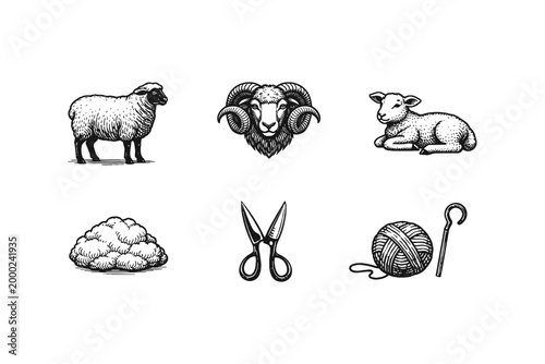 Collection of sheep and wool related illustrations in vintage style