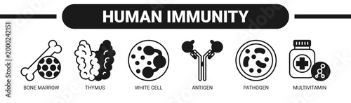 Human Immunity web banner icon vector illustration concept with icons of bone marrow, thymus, white cell, antigen, pathogen, and multivitamin.