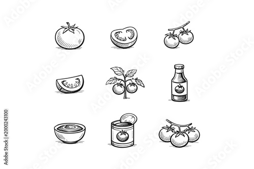 Hand-drawn tomato icons showcasing whole fruit, slices, and processed products