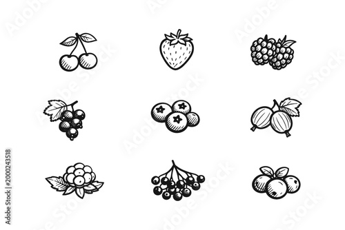 Collection of hand-drawn berry icons with a simple, clean aesthetic