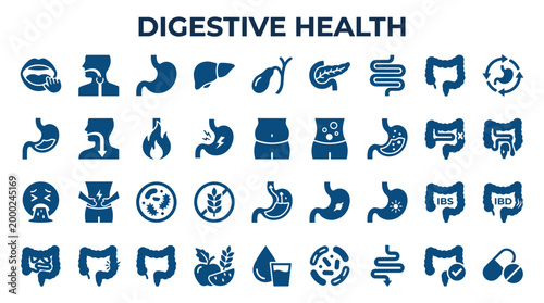 Digestive Health Icons Set Human Anatomy Organs Systems Diseases Symptoms and Treatments Medical Science Concept