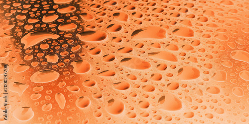 Close-up of numerous water droplets create a pattern and show how water reflects the orange light.