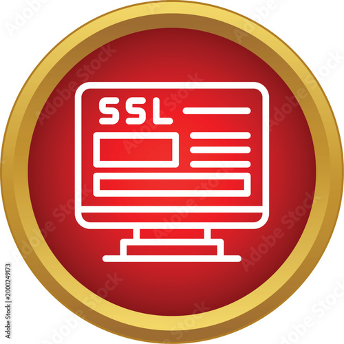 Computer monitor showing secure sockets layer protocol for encrypted data protection