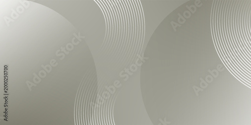 Abstract Silver Geometric Background with Circular Lines and Soft Gradients, Modern Minimalist Vector Backdrop for Tech Industry, Corporate Presentation and Professional Banner