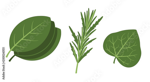 Fresh green leaves, herb icons, rosemary sprig, leafy greens, vegetable elements