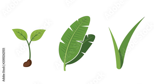Green leaf icons, plant symbols, eco friendly graphics, vector foliage