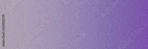 Gradient texture purple and silver speckled background
