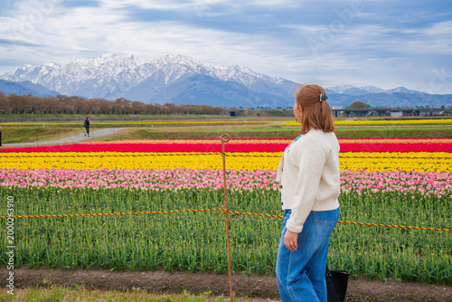 Woman Poses in Tulip Field with Mountains