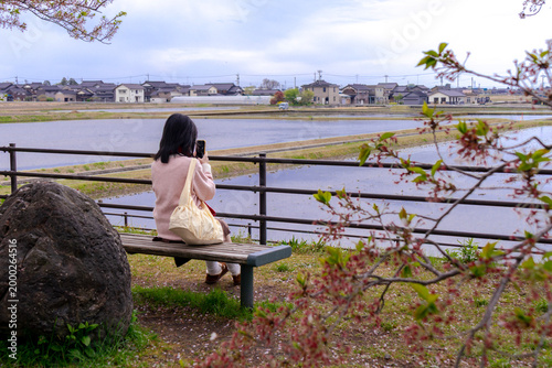 Woman Sitting on Bench with Cherry Blossoms