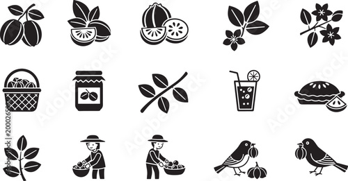 Black and white of fruit harvest and related plum leaf citrus orange