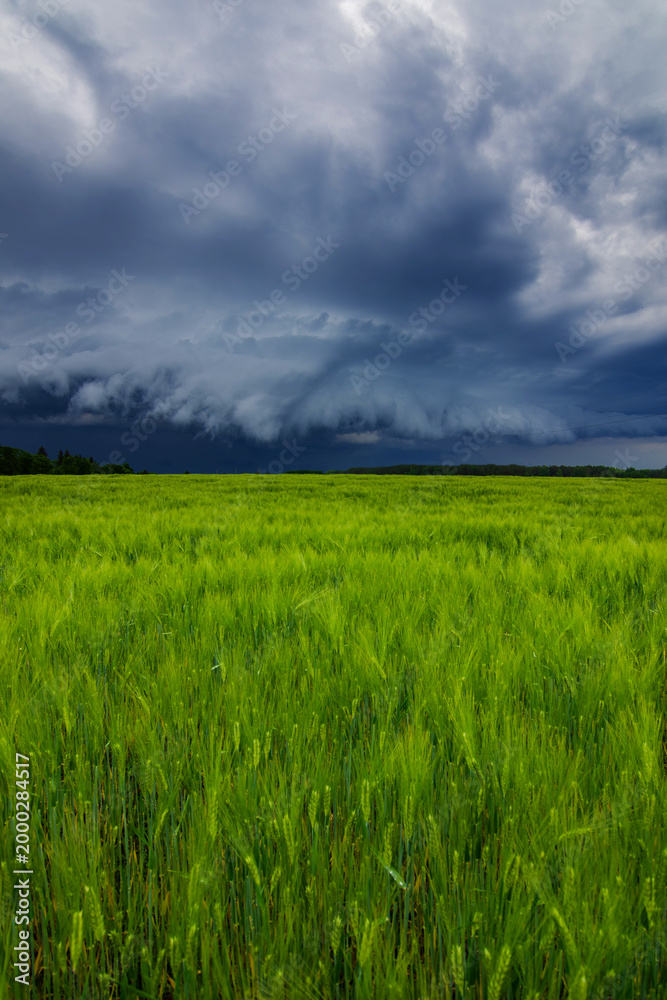 Fototapeta premium Storm clouds of thunderstorm over a field in Lithuania