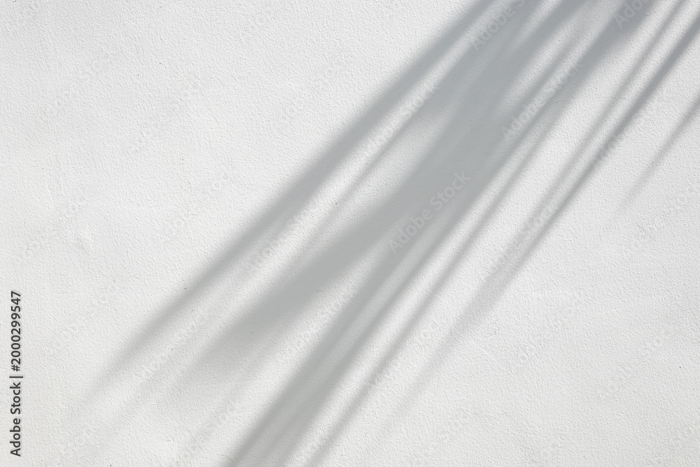 Obraz premium Abstract natural tree branch leaves shadow on white wall background