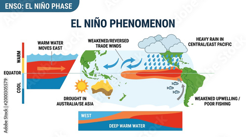 This detailed diagram explains the El Niño phenomenon, showing warm ocean currents, weakened trade winds, heavy rainfall, and associated droughts globally.