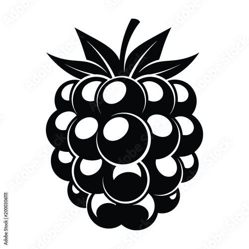 Blackberry fruit icon illustration