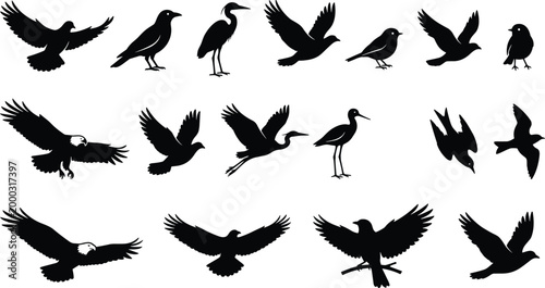 Billede på lærred Bird silhouette vector illustration set, diverse species icons with flying and s