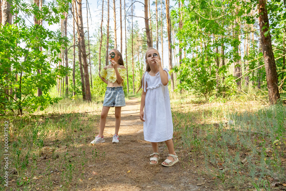 Fototapeta premium Two kids in casual clothes in summer exploring nature in forest together. Little girl looking through magnifying glass while squatting on ground
