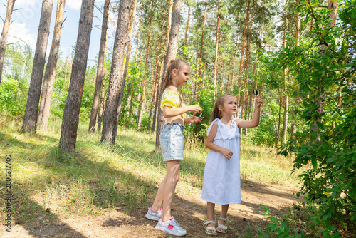 Two little children looking examining plants through magnifying glass while exploring forest nature and environment on sunny day
