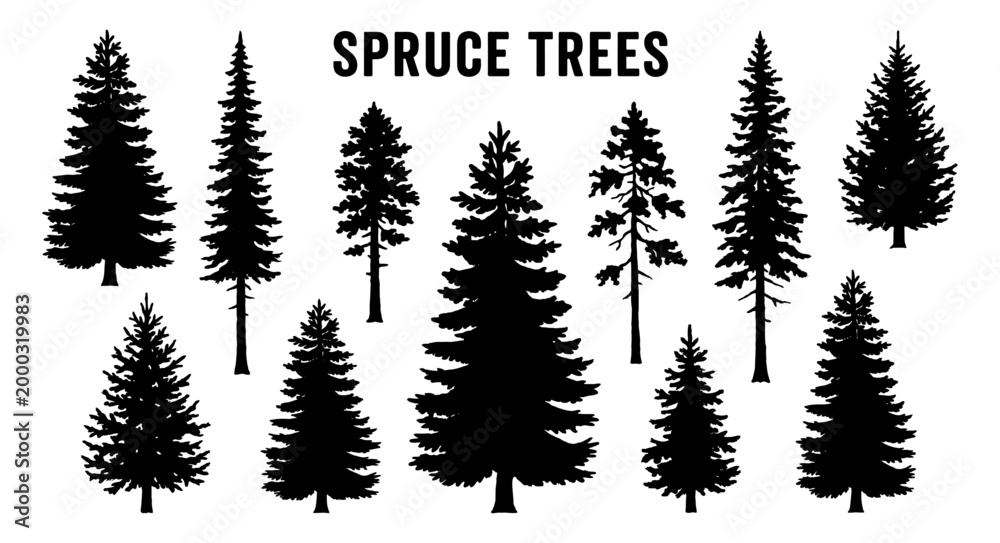 Fototapeta premium Spruce tree silhouette set with pine conifer and forest shape