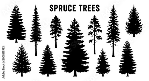 Spruce tree silhouette set with pine conifer and forest shape