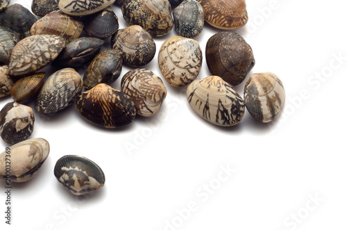 アサリ　白バック