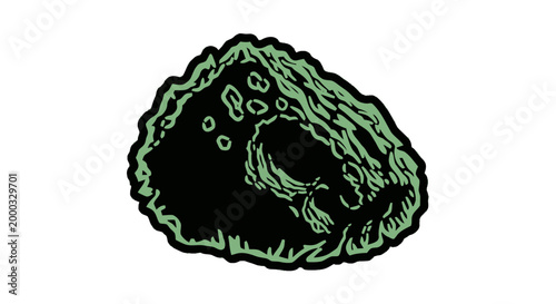 Black and green moss rock.