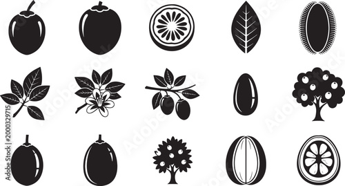 Black and white of fruits leaves and trees coconut orange lemon lime