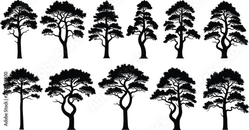 Pine tree silhouette collection featuring coniferous evergreen forest plants for nature landscape design, woodland environment, outdoor adventure,scenery, and sustainable botanical illustrations.