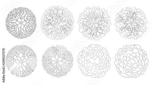 Set of handdrawn tree top view icons for architectural landscape design