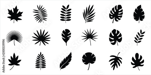 Collection of 18 Black Silhouette Icons of Various Tropical and Deciduous Leaves on White Background