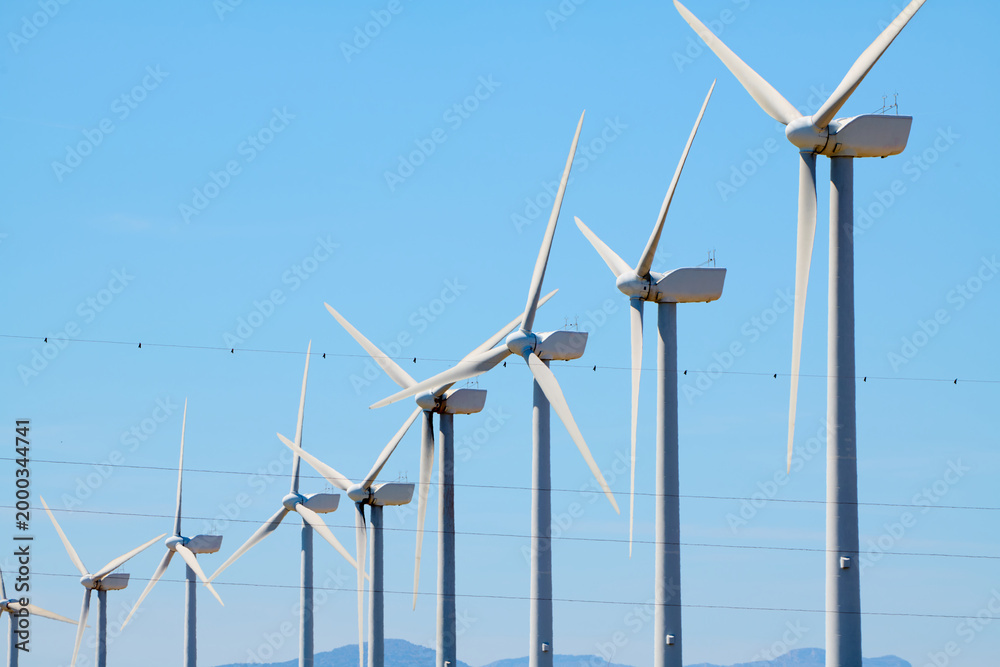 Fototapeta premium Windmills for renewable electrical energy production