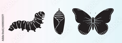 Metamorphosis stages of a butterfly isolated illustration