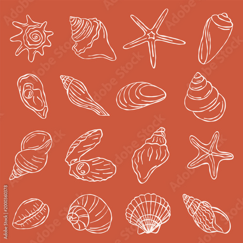 Sea shells set. Hand drawn shells and starfish white line art sketches on terracotta background. Nautical ocean symbols for summer branding and decor.