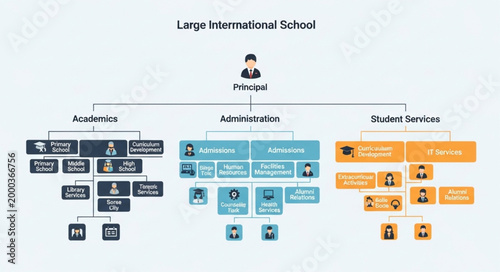 Organizational chart for a large international school structure.